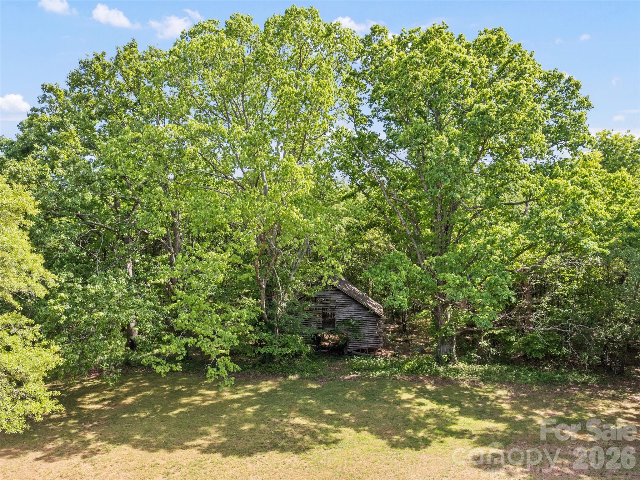 311 Soco Gap Road Ellenboro, NC 28040 - Photo 9 of 24 a view of a forest