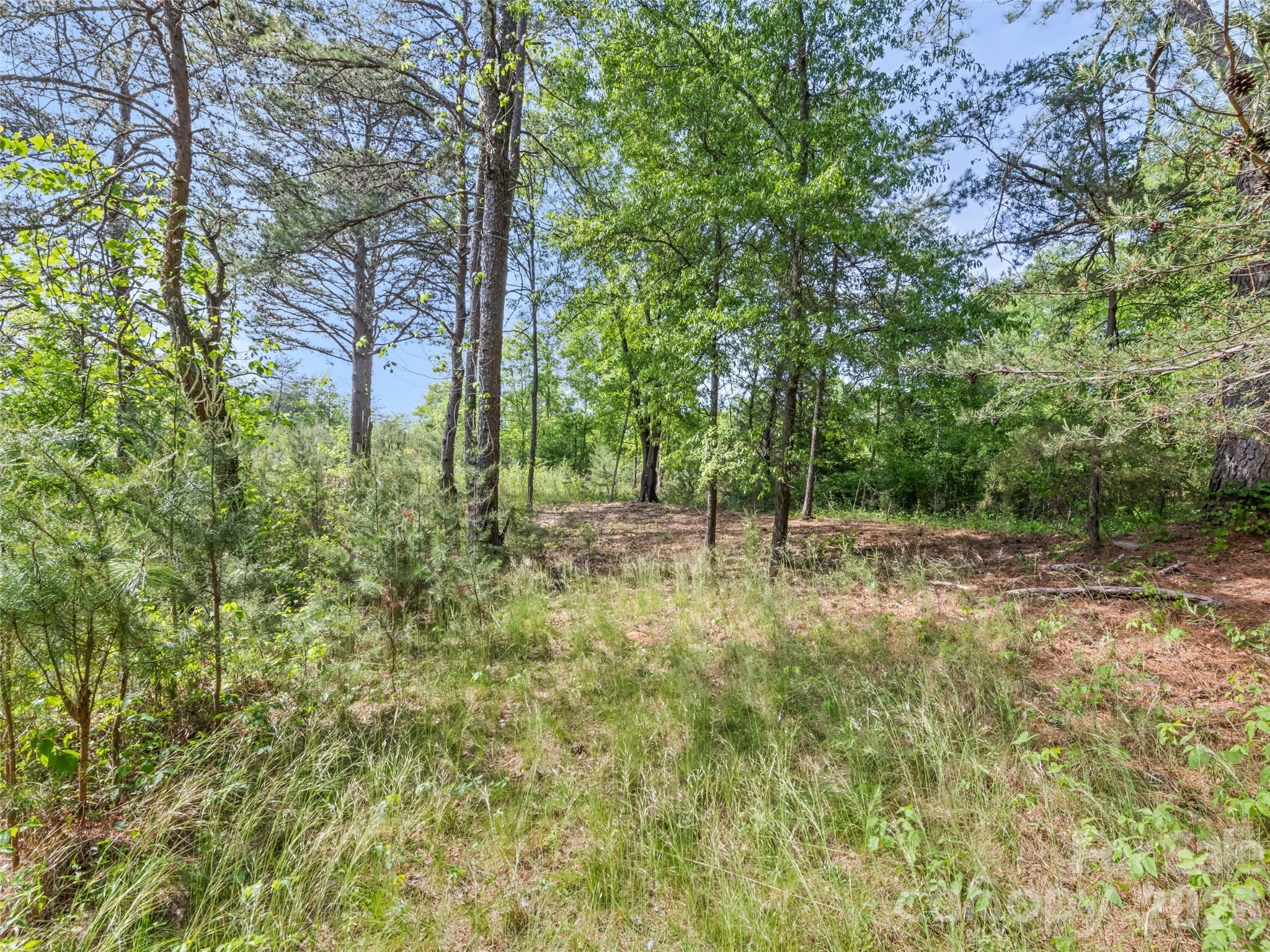 311 Soco Gap Road Ellenboro, NC 28040 - Photo 10 of 24 a view of outdoor space and garden