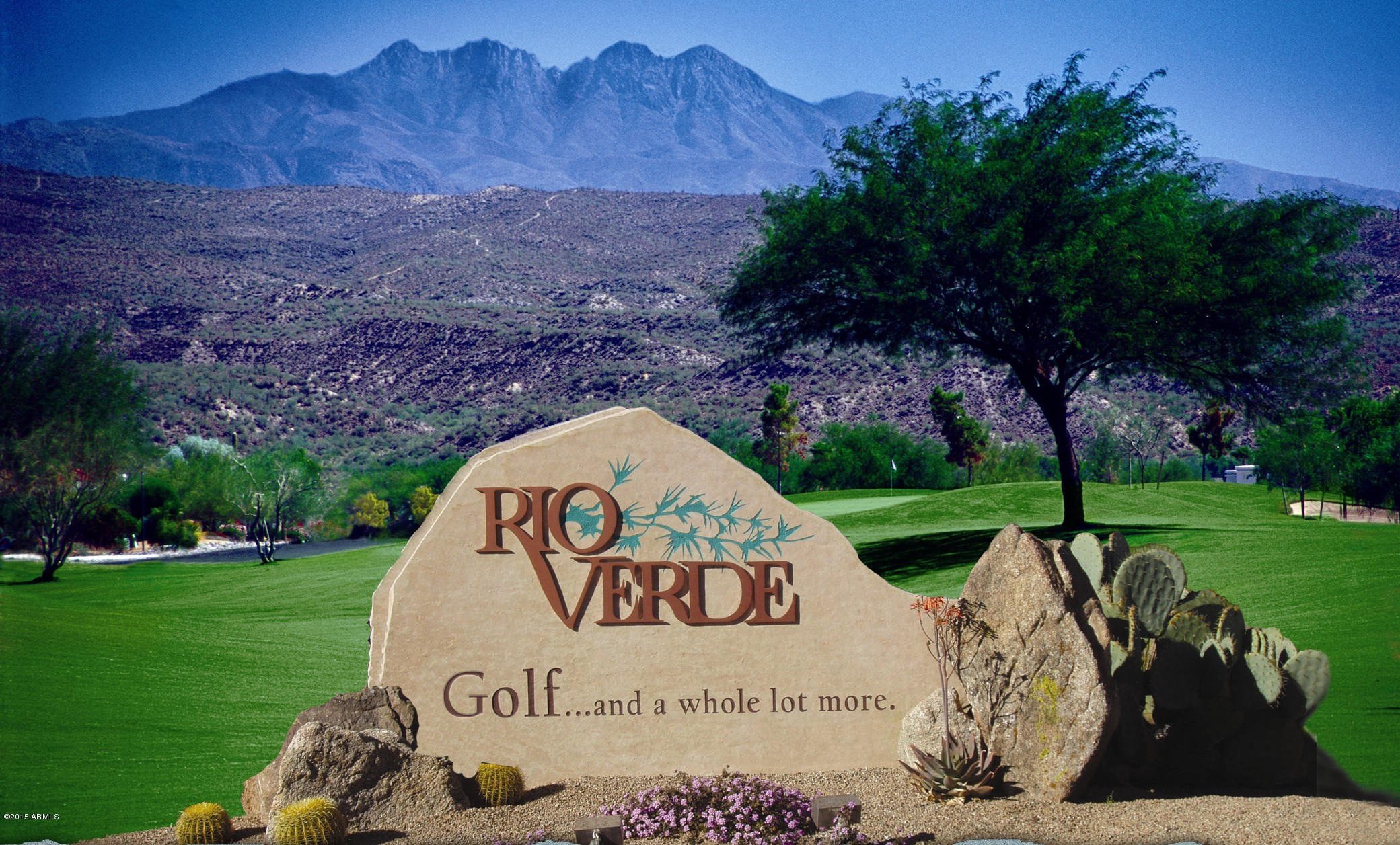 25428 North Danny Lane Rio Verde, AZ 85263 - Photo 22 of 23 Rio Verde Backdrop