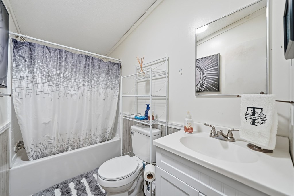 194 Burgess Road Ellijay, GA 30540 - Photo 20 of 32 a bathroom with a sink a toilet and shower curtain