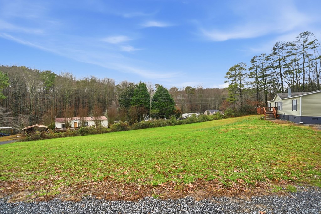 194 Burgess Road Ellijay, GA 30540 - Photo 29 of 32 a view of a field of grass and trees