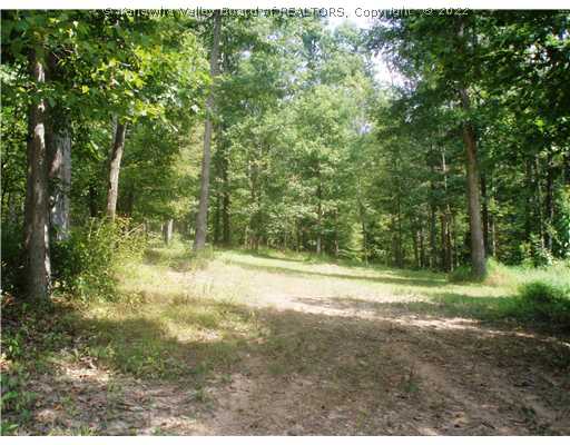 562 Bluelick Road Winfield, WV 25213 - Photo 7 of 13 Land.
