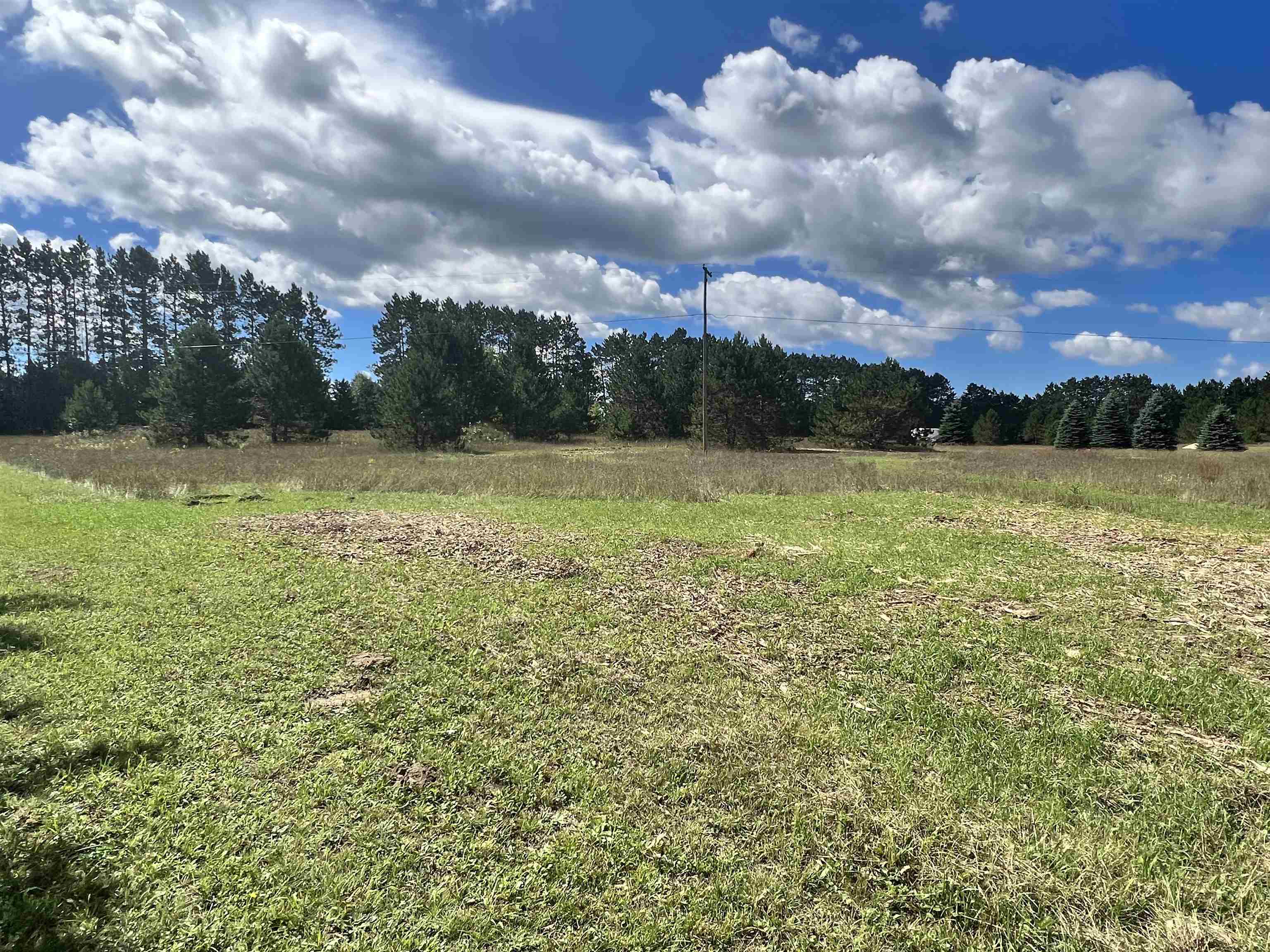 E East 32nd Road Cadillac, MI 49601 - Photo 10 of 12