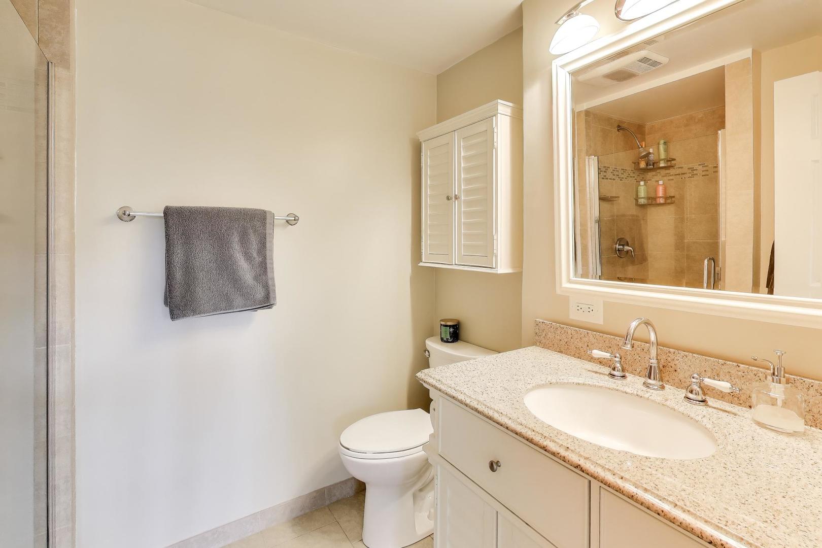 906 Hickory Lane Naperville, IL 60540 - Photo 23 of 30 a bathroom with a granite countertop sink toilet and mirror