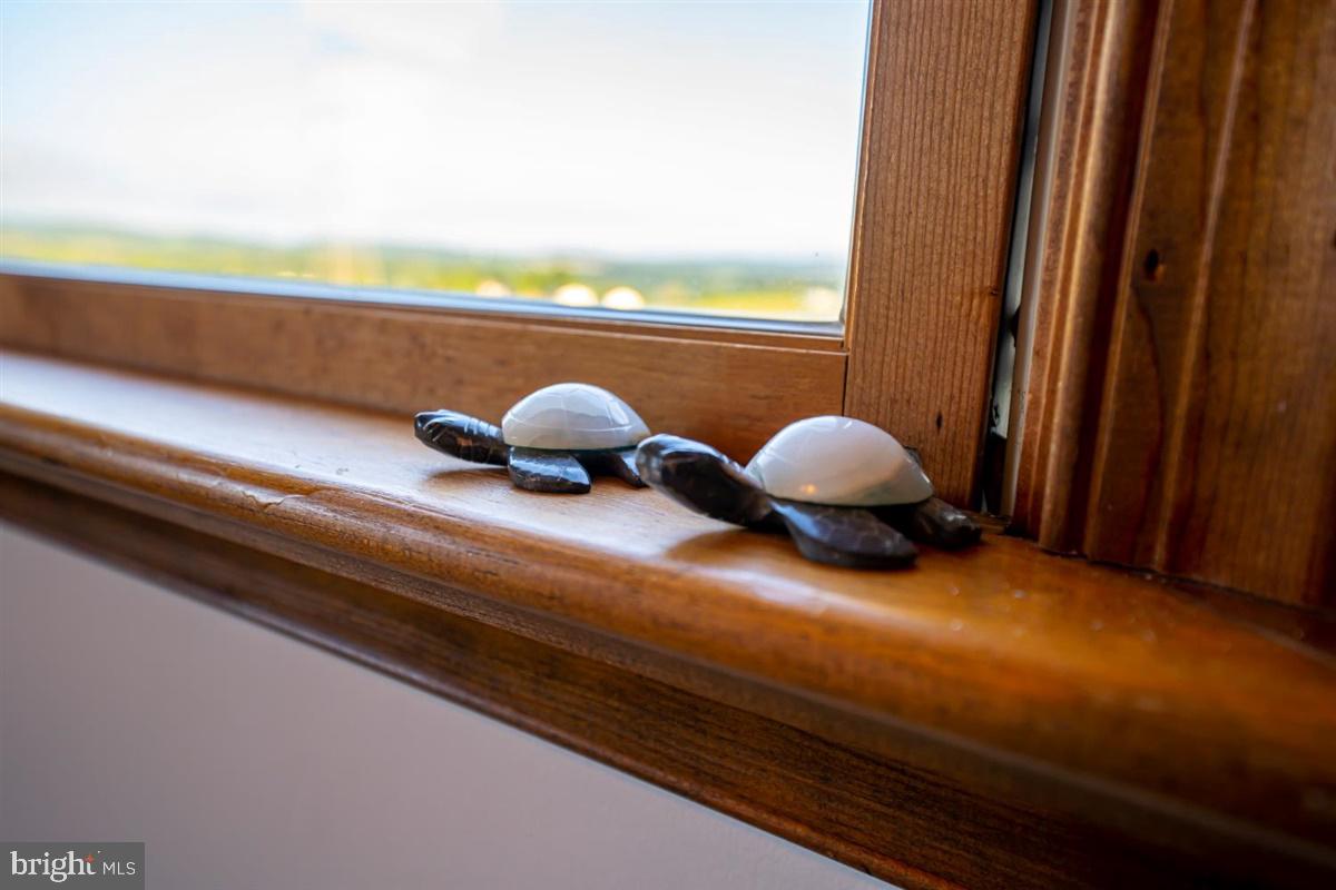 2605 Poffenberger Road Jefferson, MD 21755 - Photo 49 of 93 Gallery Image 49
