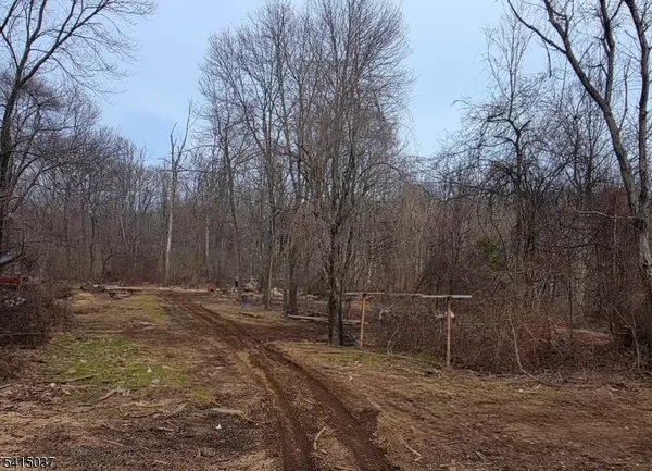 a backyard of a house with lots of trees