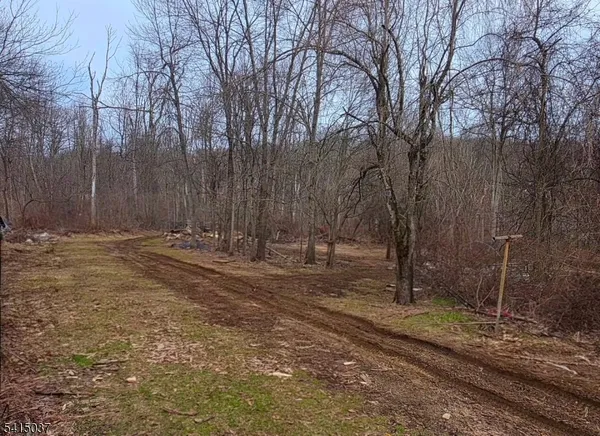a view of outdoor space with trees