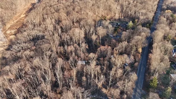 a view of a forest