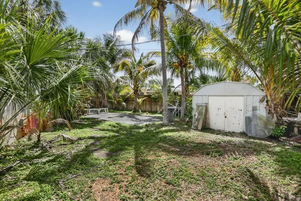 a view of backyard with a garden and plants
