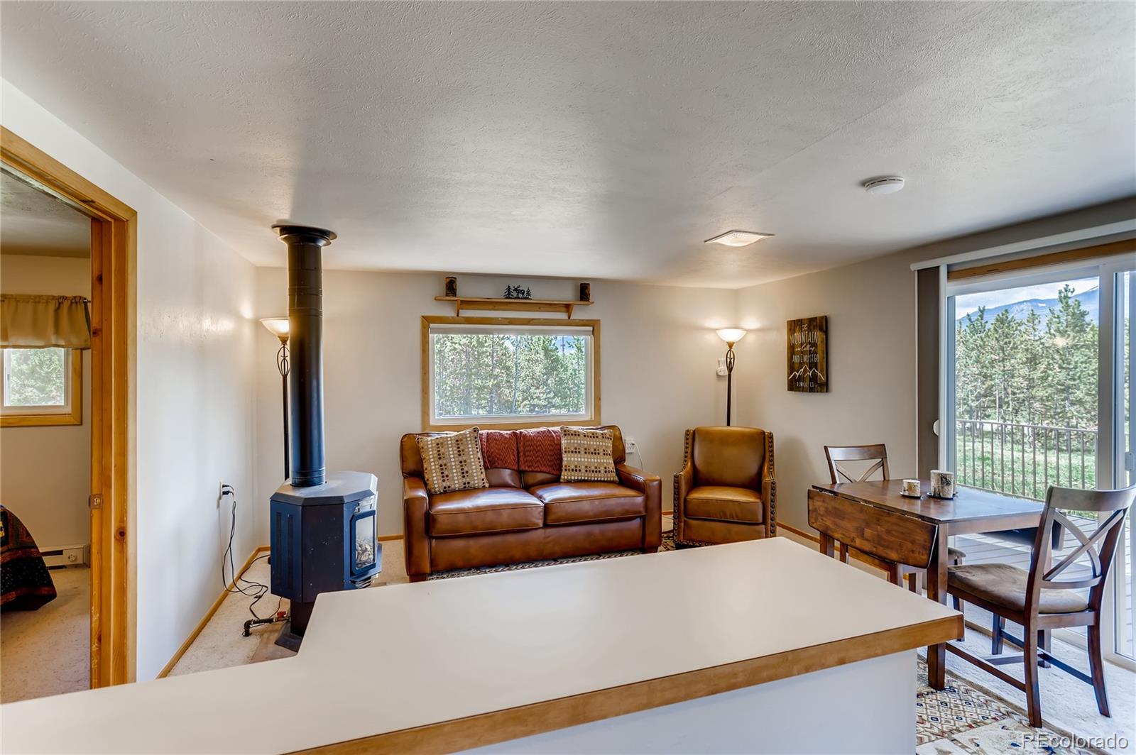 19 D Road Silverthorne, CO 80498 - Photo 10 of 24