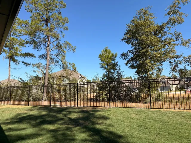 a view of a field with a tree
