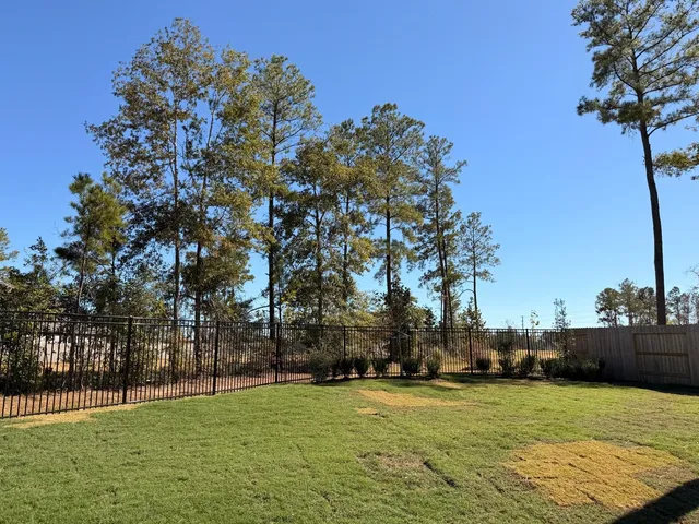 $3,200 | 18459 Chameleon Court, Conroe, TX 77302