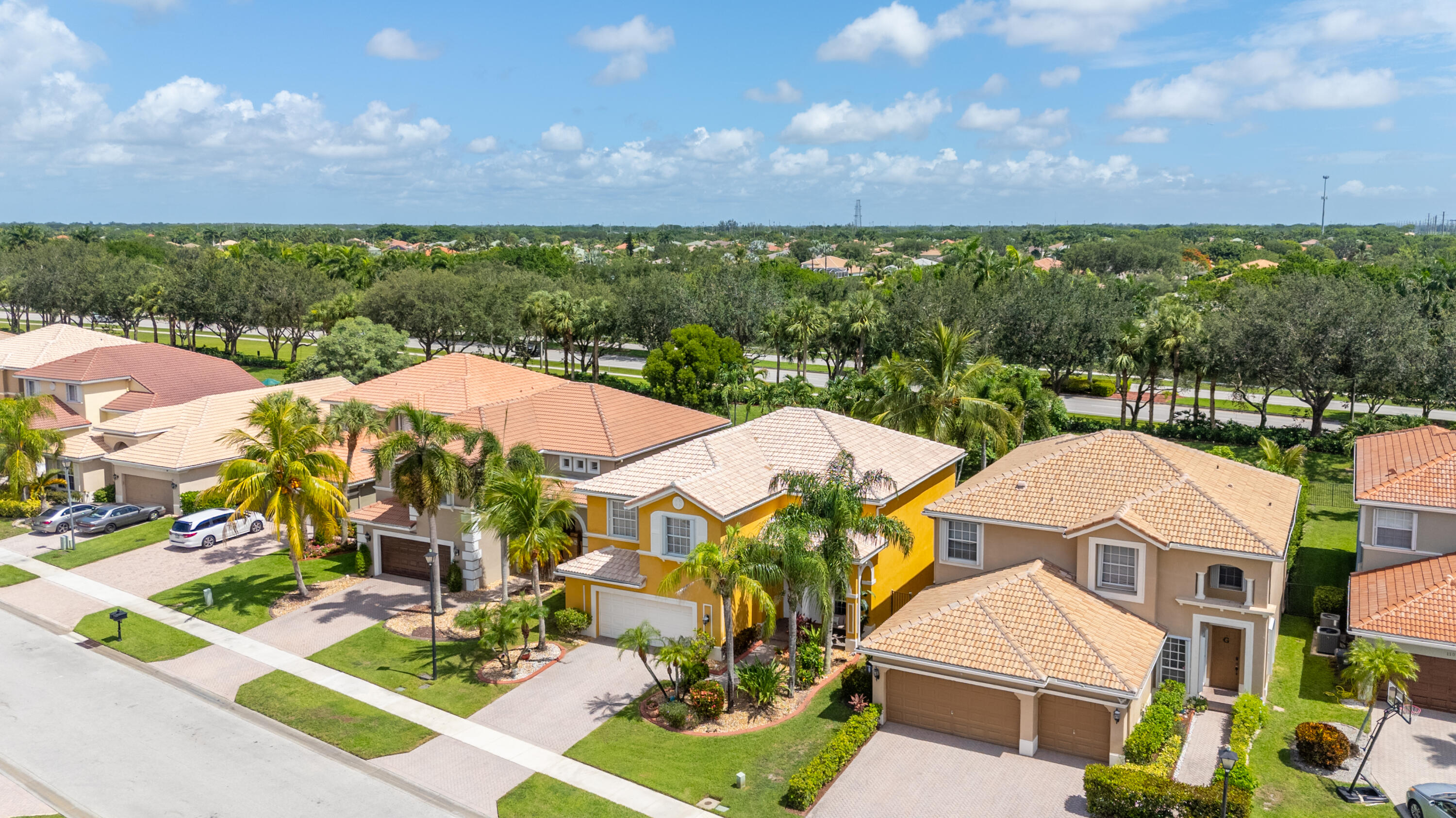11091 Laurel Walk Road Wellington, FL 33449 - Photo 51 of 62 dji_fly_20250701_112948_0234_17514589127