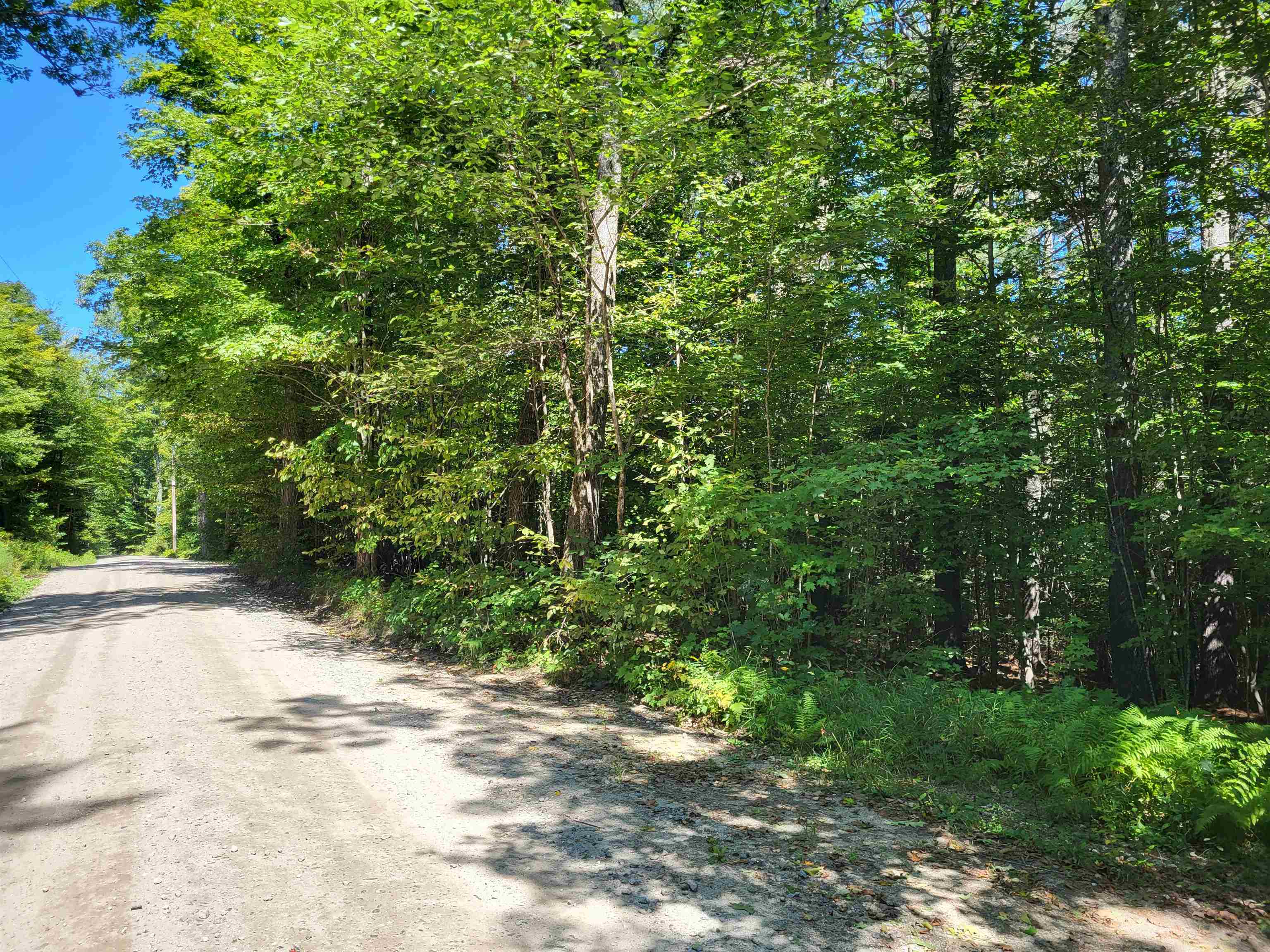 100 Forbes Mountain Road Danbury, NH 03230 - Photo 2 of 13 Gallery Image 2