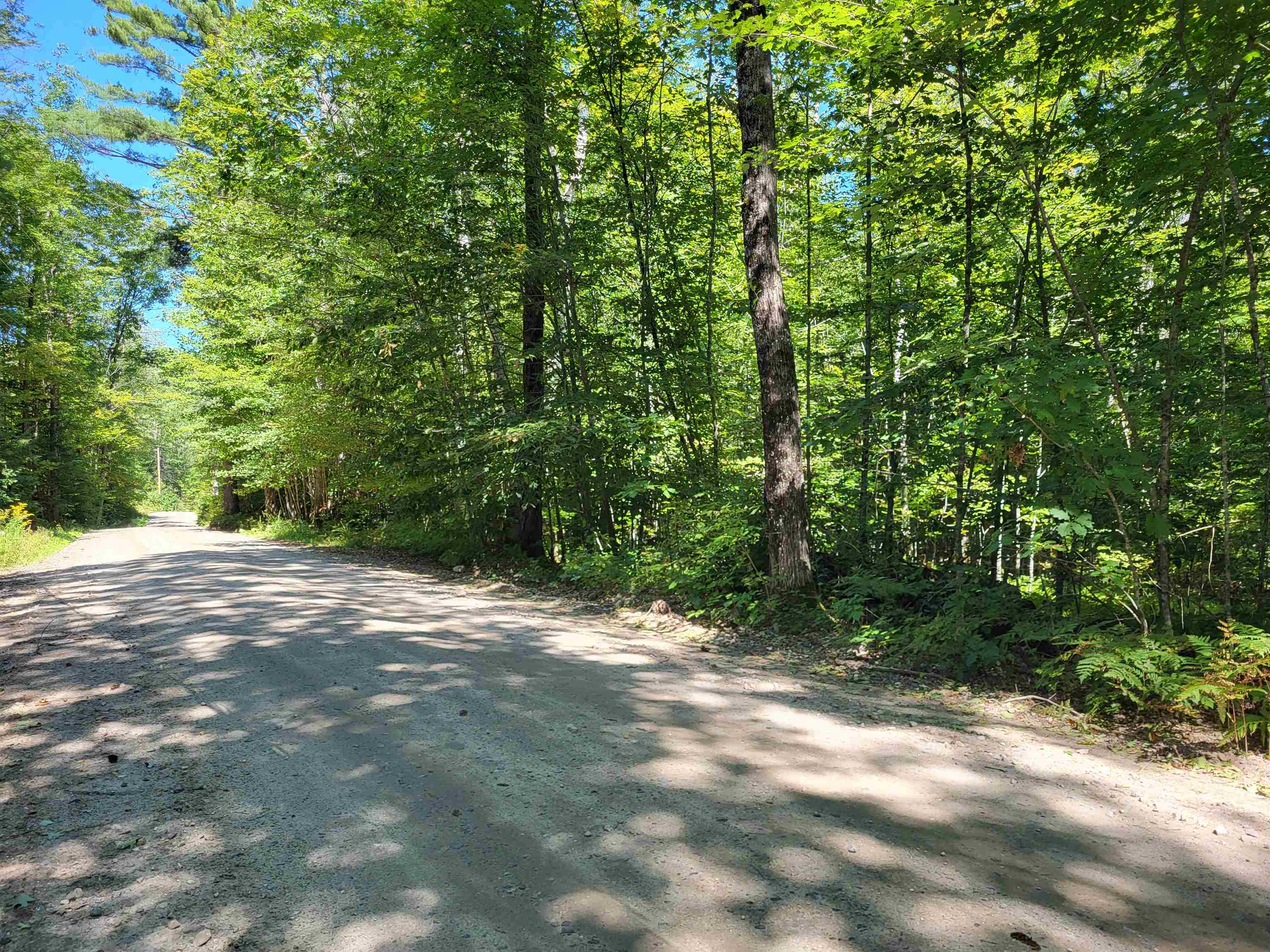 100 Forbes Mountain Road Danbury, NH 03230 - Photo 6 of 13 Gallery Image 6