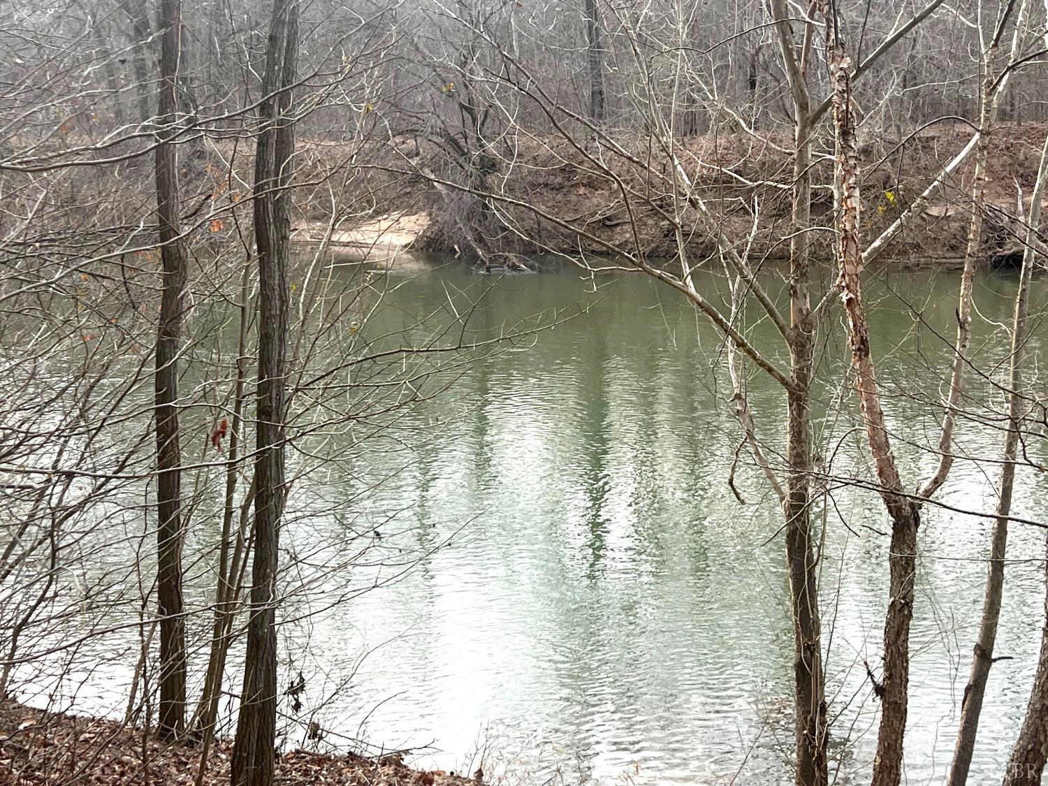 2453 Easome Road Hurt, VA 24563 - Photo 37 of 92