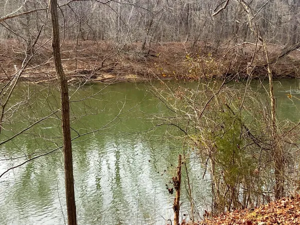 a view of a house with a big yard and potted plants