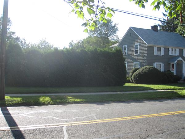 50 Abbott Street Springfield, MA 01118 - Photo 3 of 16 Gallery Image 3