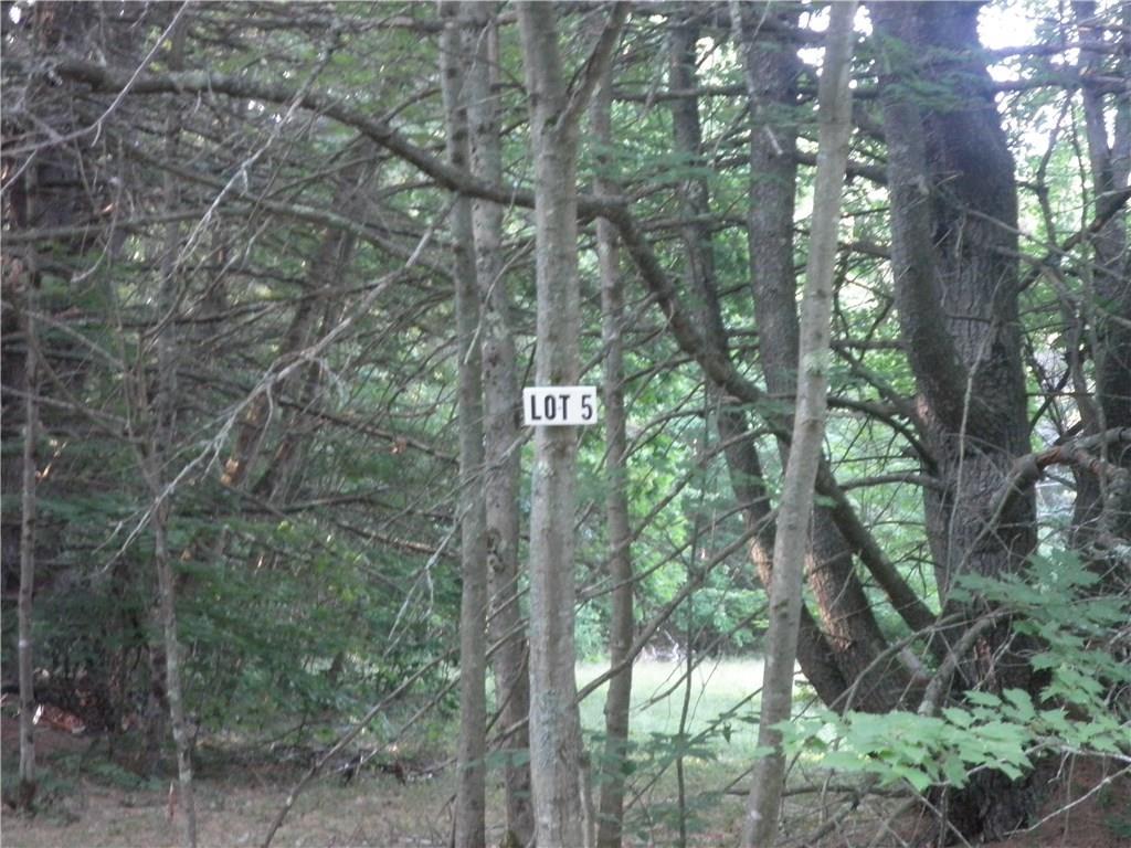 5 Ridgewood Lane North Yarmouth, ME 04097 - Photo 1 of 1 Photo