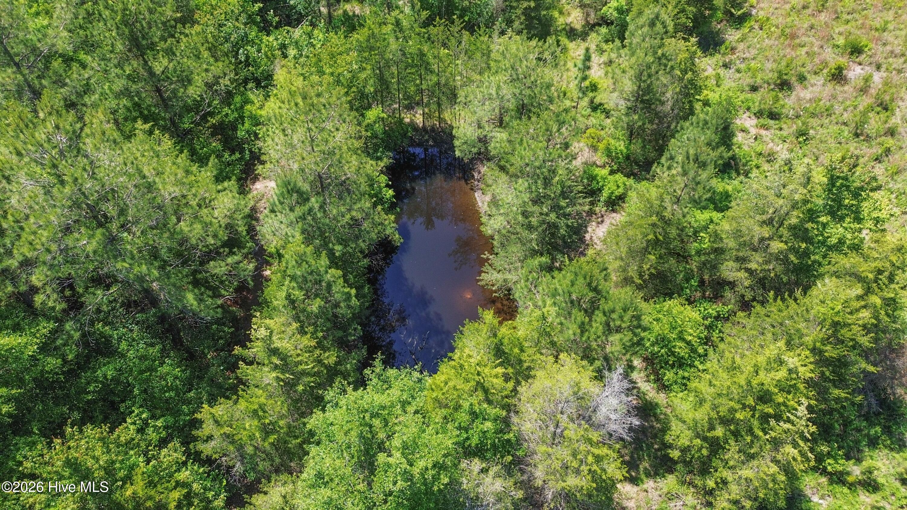5840 Green Swamp Road Northwest Ash, NC 28420 - Photo 34 of 64 KS_May22 - 63