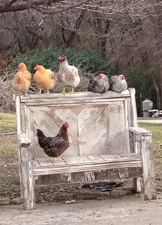 13345 Briar Road Azle, TX 76020 - Photo 15 of 26
