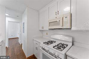 20979 Timber Ridge Terrace, Unit 101 Ashburn, VA 20147 - Photo 4 of 16 a kitchen with white cabinets and appliances