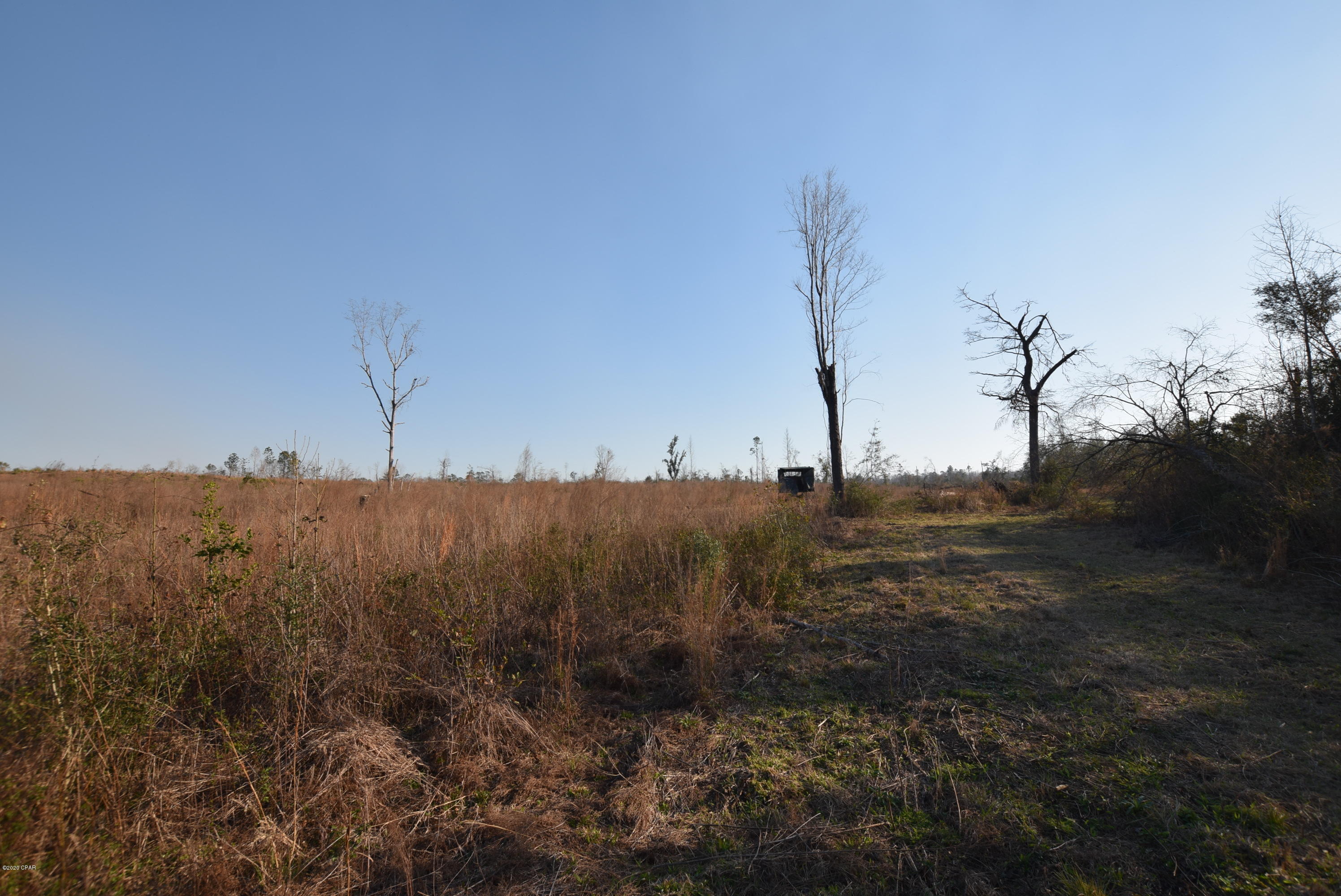 1416 Mill Road Alford, FL 32420 - Photo 28 of 60