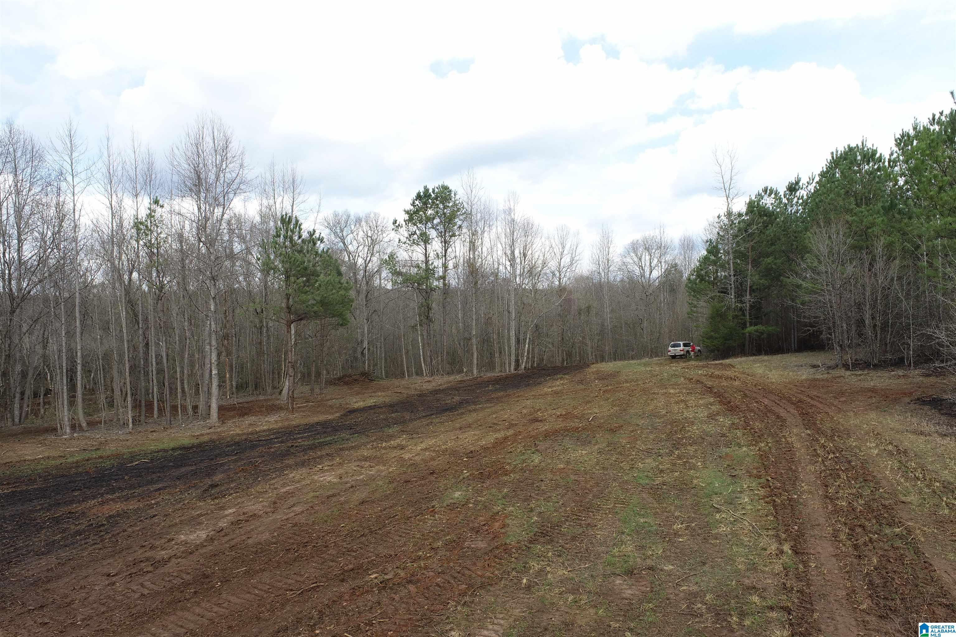 0 County Road 158, Unit 1 Lafayette, AL 36862 - Photo 8 of 19