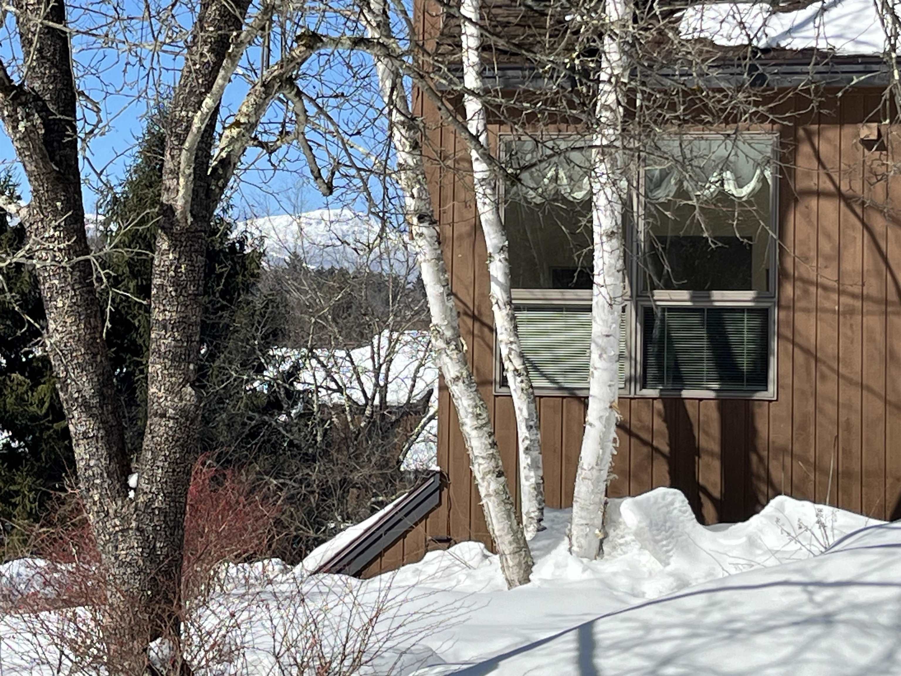 499 Field Road, Unit 71 Stowe, VT 05672 - Photo 39 of 40