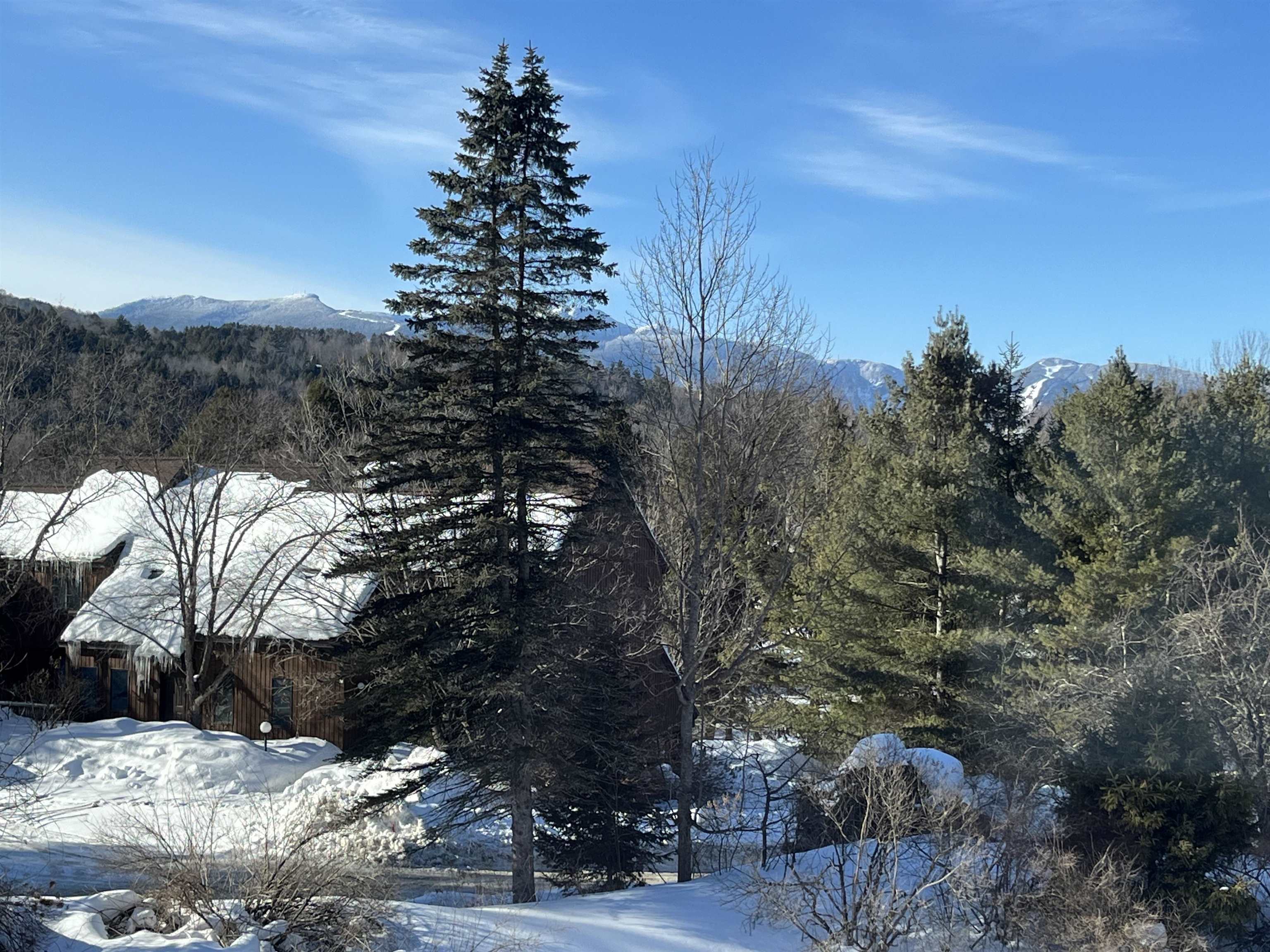 499 Field Road, Unit 71 Stowe, VT 05672 - Photo 40 of 40