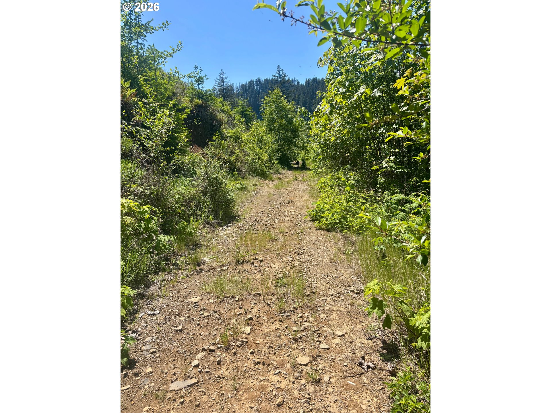 Crooked Finger Road Scotts Mills, OR 97375 - Photo 12 of 17