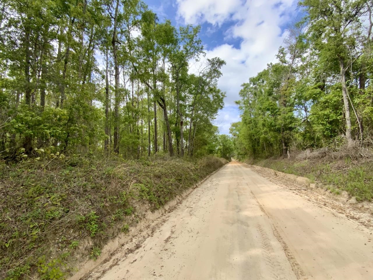 Vacant Northeast Vacant Ne Raspberry Way Pinetta, FL 32350 - Photo 16 of 16 Gallery Image 16