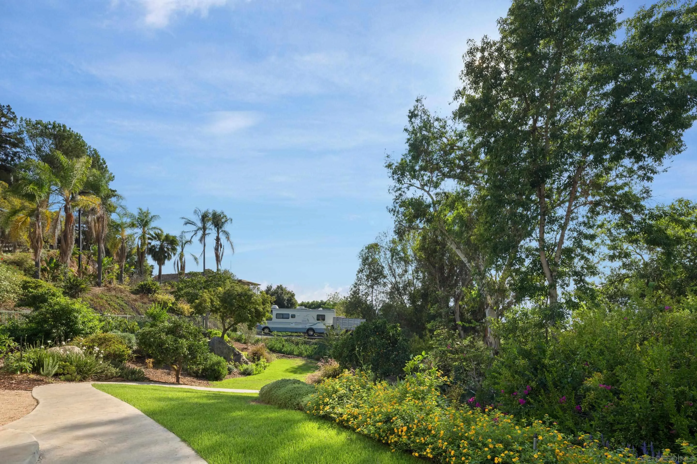 9560 Starlight Lane La Mesa, CA 91941 - Photo 18 of 18 a view of a park with a tree in the background