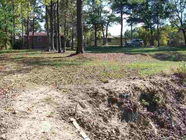 60 River Fork Road Waterloo, SC 29384 - Photo 6 of 21