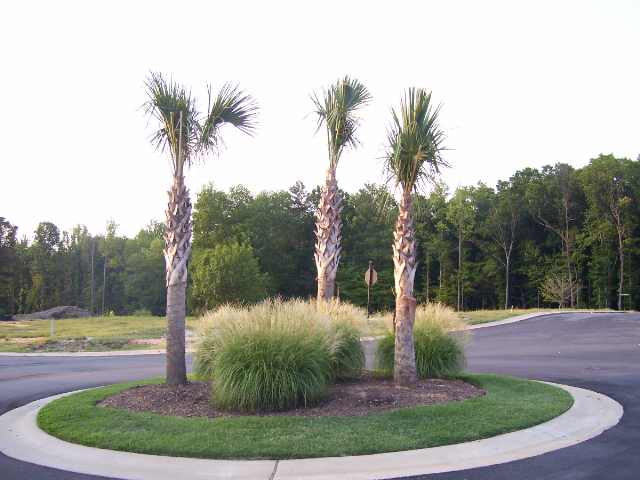 120 Palm Springs Way Simpsonville, SC 29681 - Photo 18 of 22