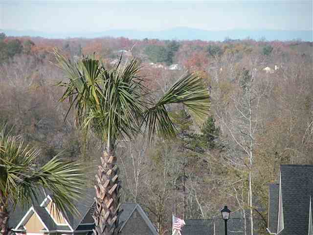 120 Palm Springs Way Simpsonville, SC 29681 - Photo 20 of 22