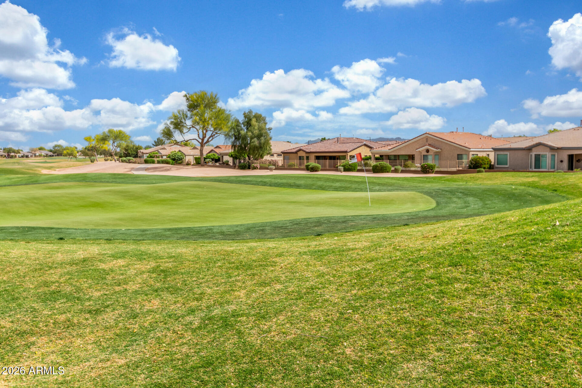 4120 East Jude Lane Gilbert, AZ 85298 - Photo 42 of 61 a view of a big room with a big yard and potted plants