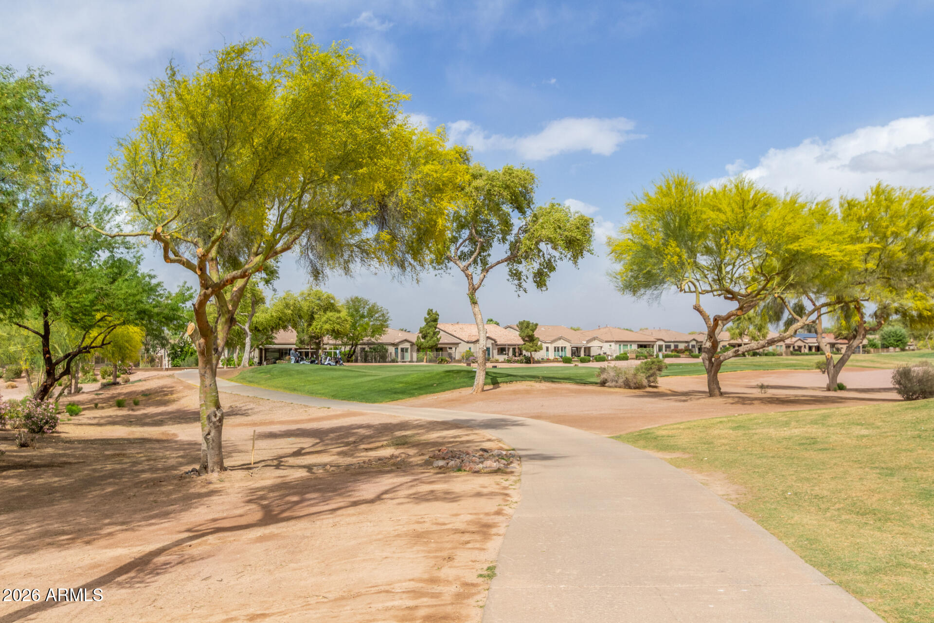 4120 East Jude Lane Gilbert, AZ 85298 - Photo 43 of 61 a view of a yard with palm trees