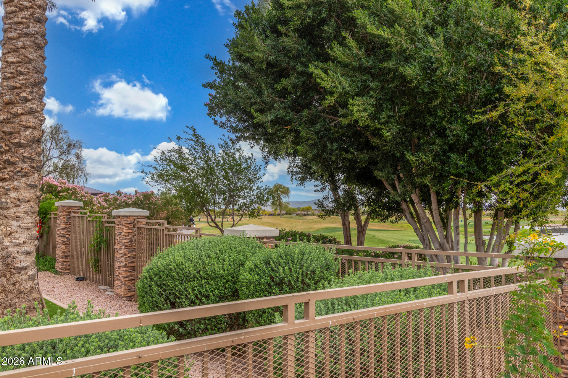 4120 East Jude Lane Gilbert, AZ 85298 - Photo 53 of 61 a view of a large yard with large trees