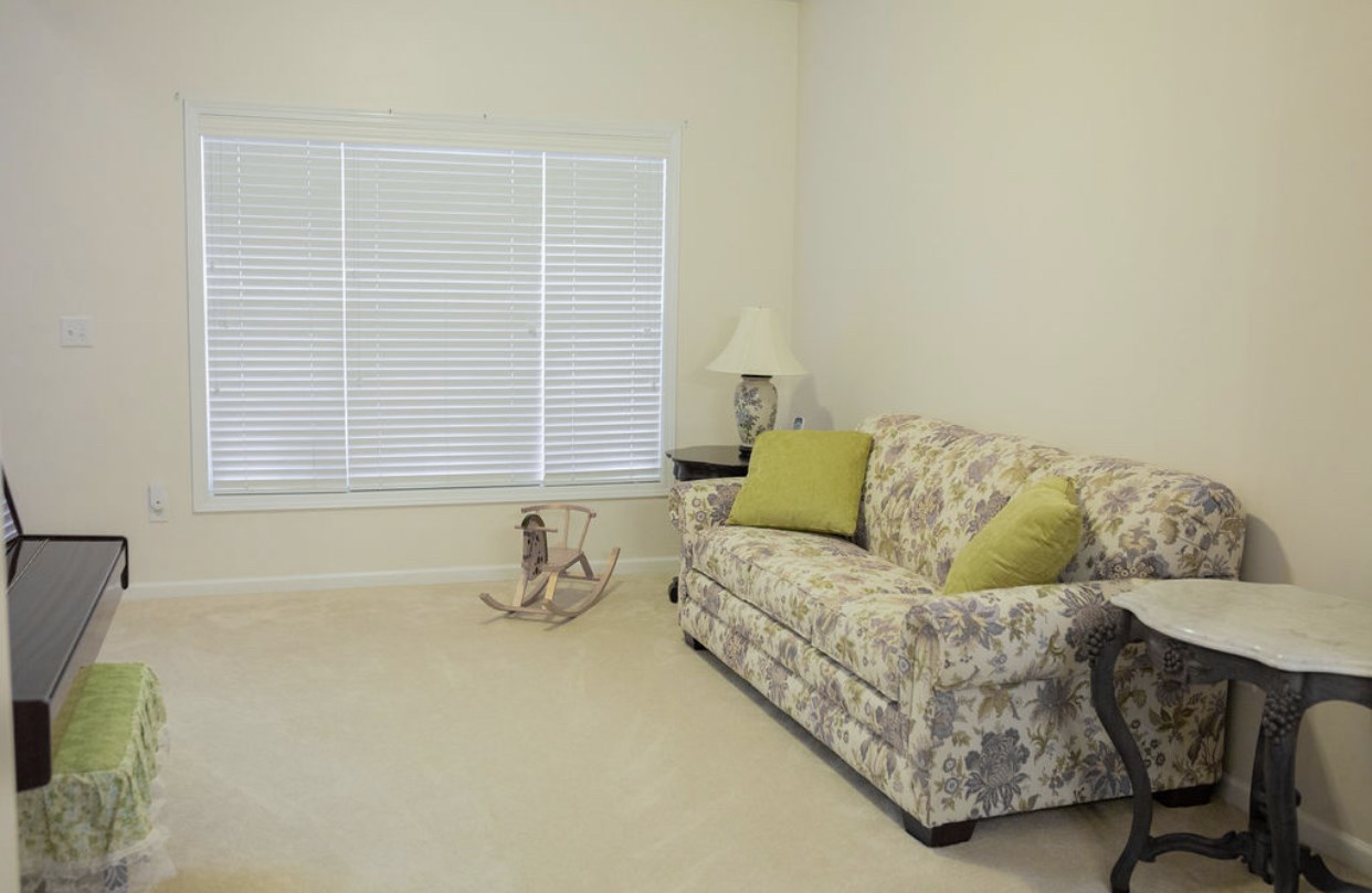 361 Slate Drive Boiling Springs, SC 29316 - Photo 8 of 36 Gallery Image 8