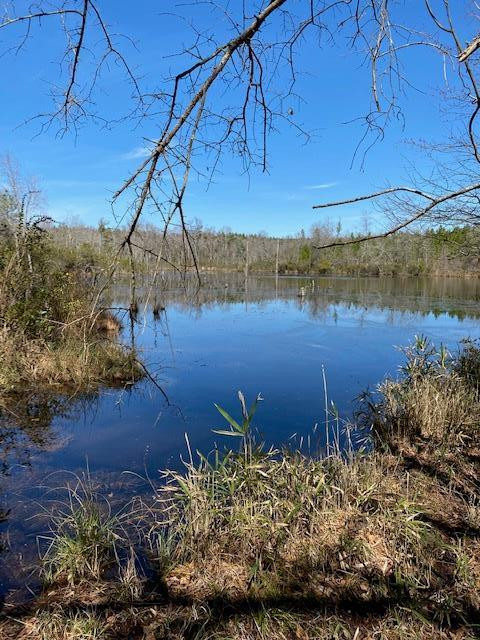 1617 Keys Pond Road Ridge Spring, SC 29129 - Photo 2 of 22