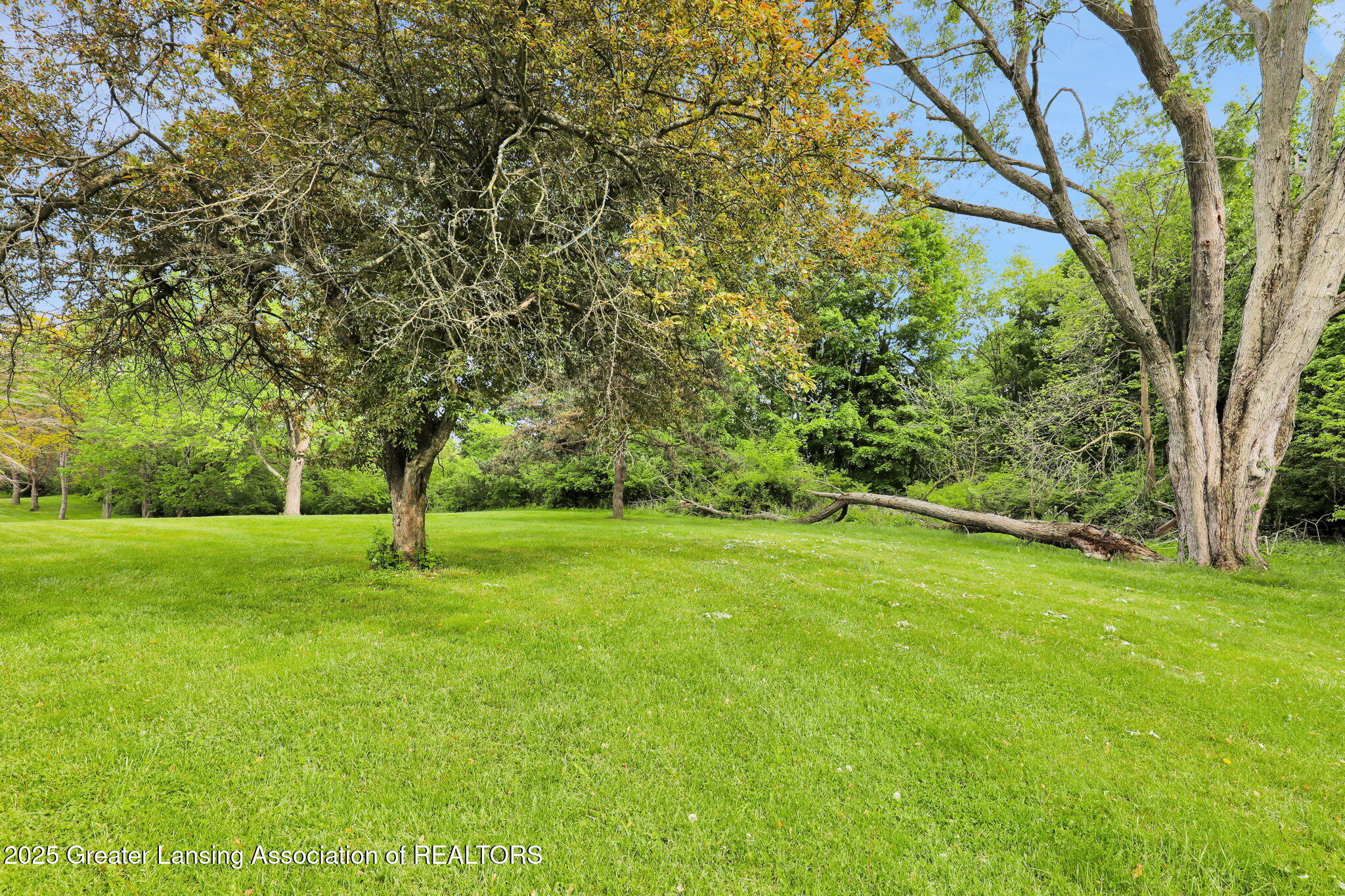 847 North Waverly Road Dimondale, MI 48821 - Photo 5 of 65 5-web-or-mls-9I3A0948