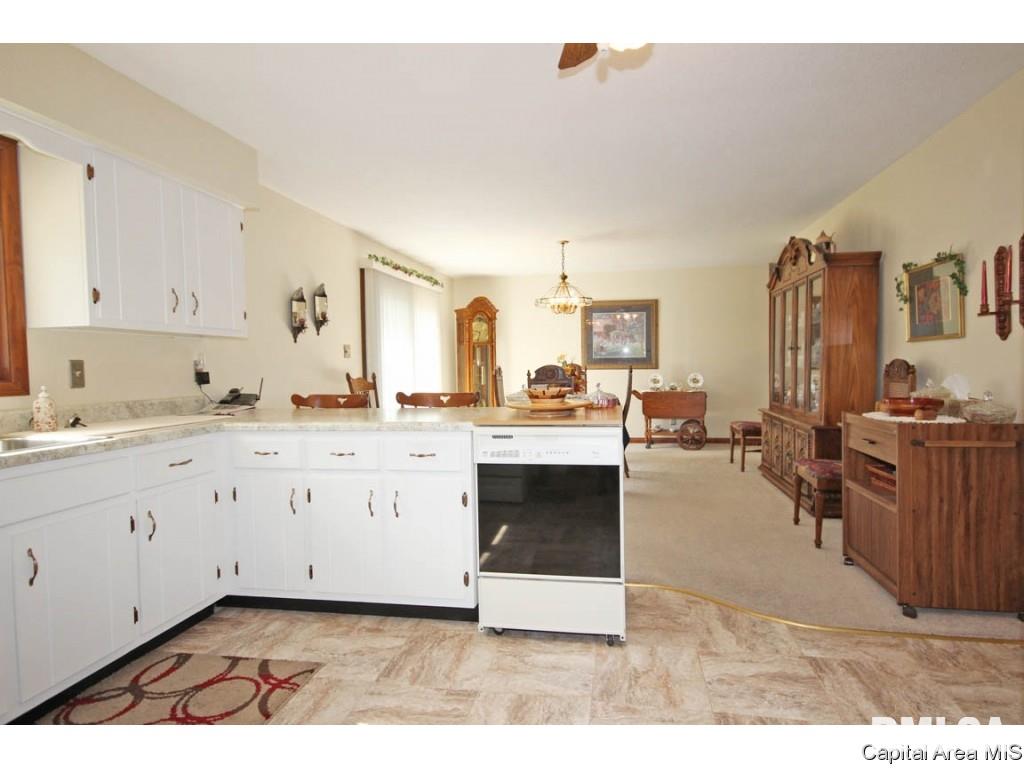 6068 Turkey Run Road Sherman, IL 62684 - Photo 5 of 35 Gallery Image 5