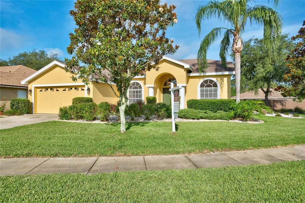 8416 Basuto Drive Trinity, FL 34655 - Photo 1 of 1 a front view of a house with a garden