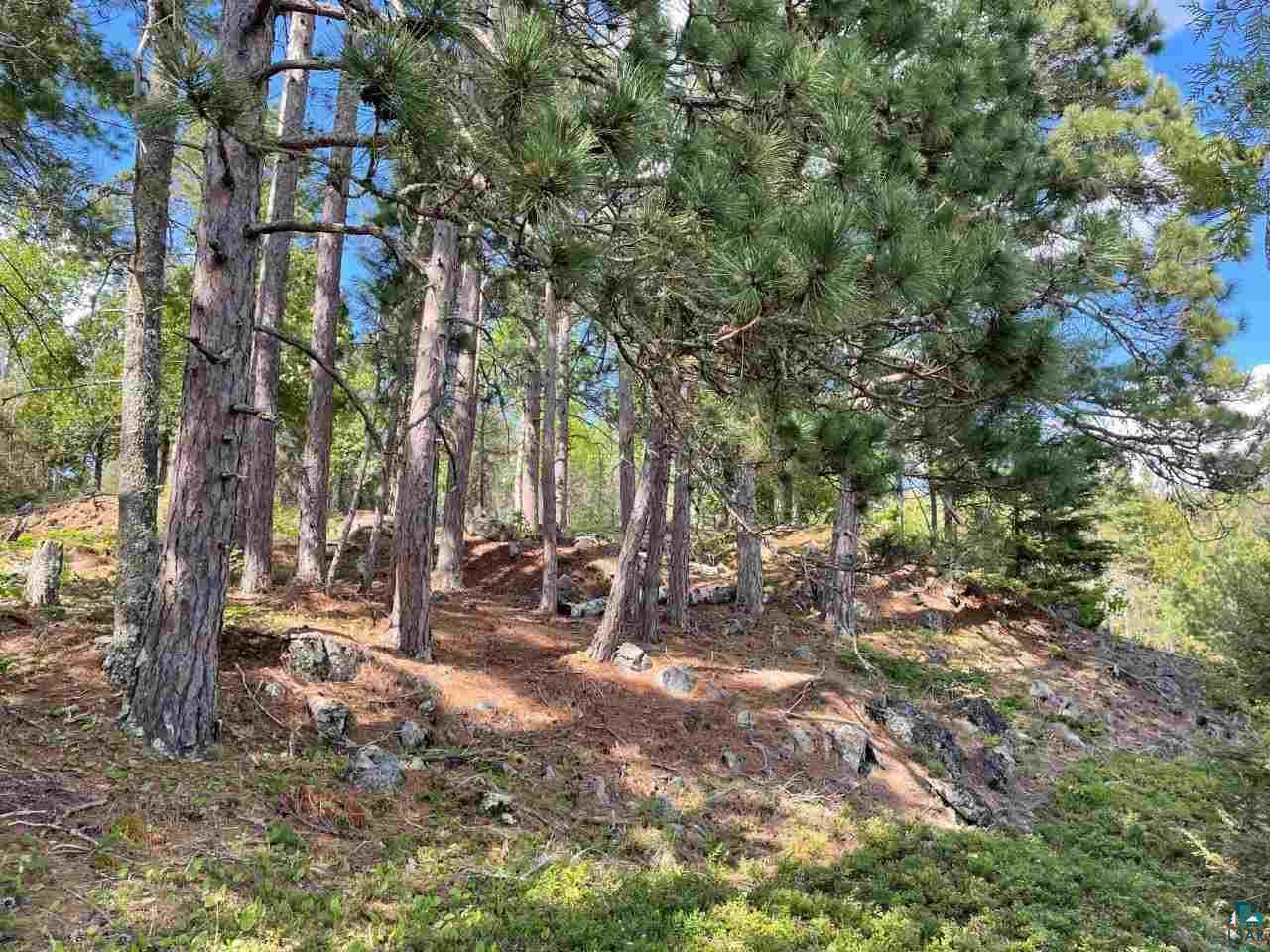 Xxx Somero Road Ely, MN 55731 - Photo 4 of 17 Gallery Image 4