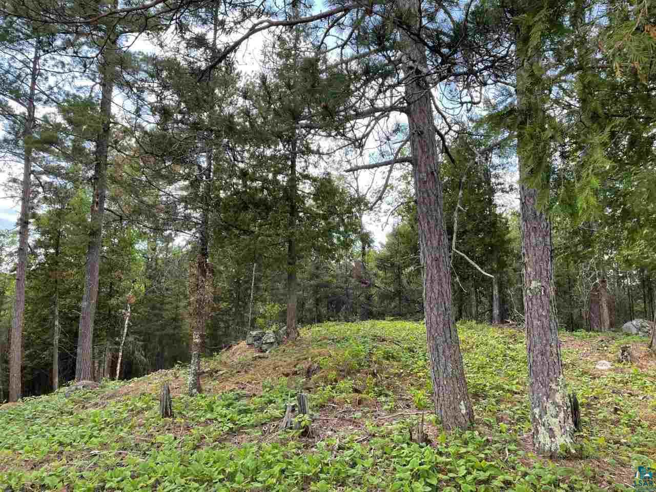 Xxx Somero Road Ely, MN 55731 - Photo 5 of 17 Gallery Image 5