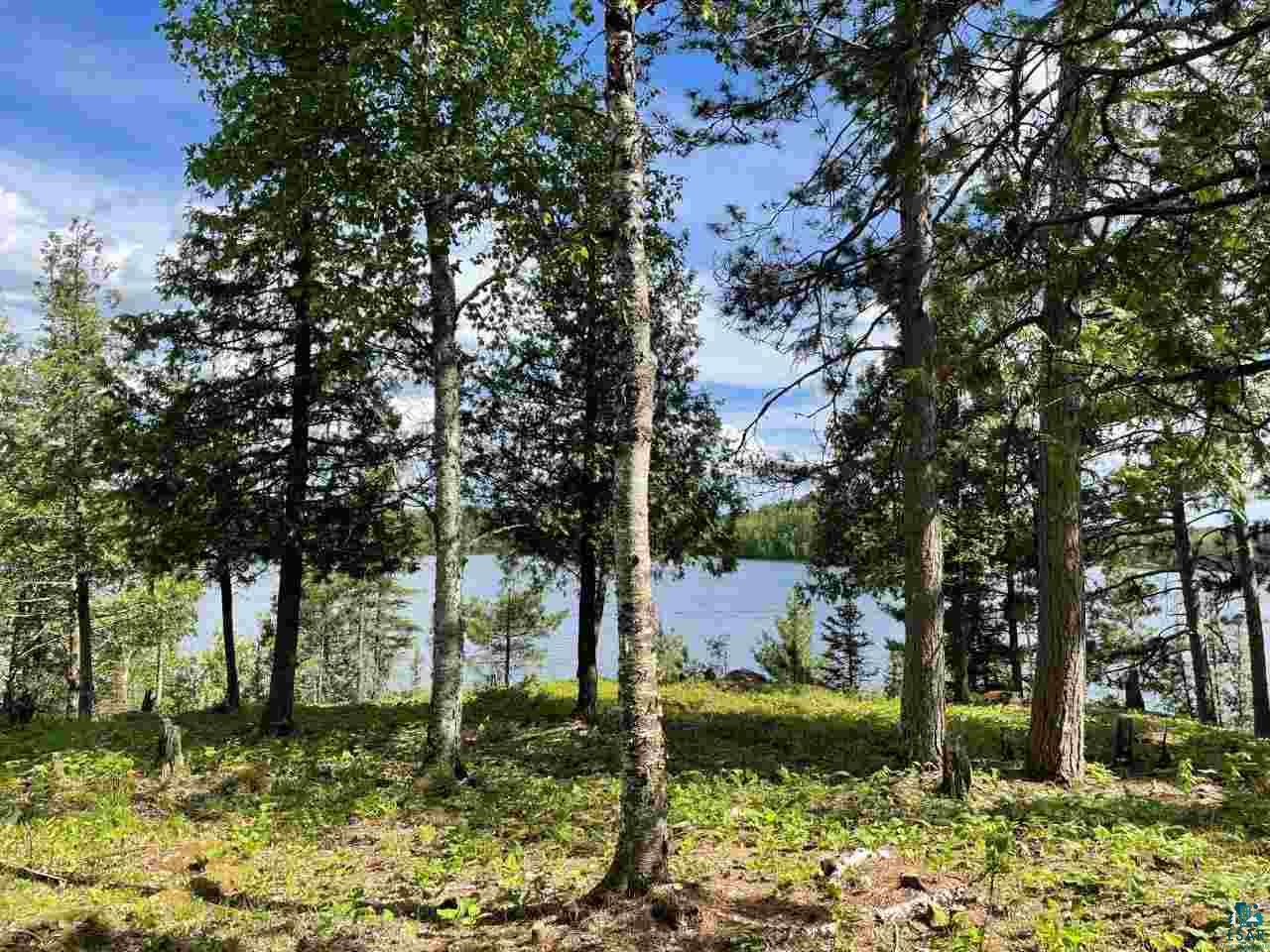 Xxx Somero Road Ely, MN 55731 - Photo 7 of 17 Gallery Image 7