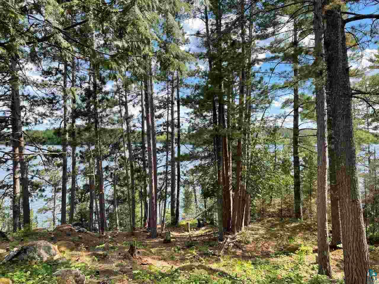 Xxx Somero Road Ely, MN 55731 - Photo 10 of 17 Gallery Image 10