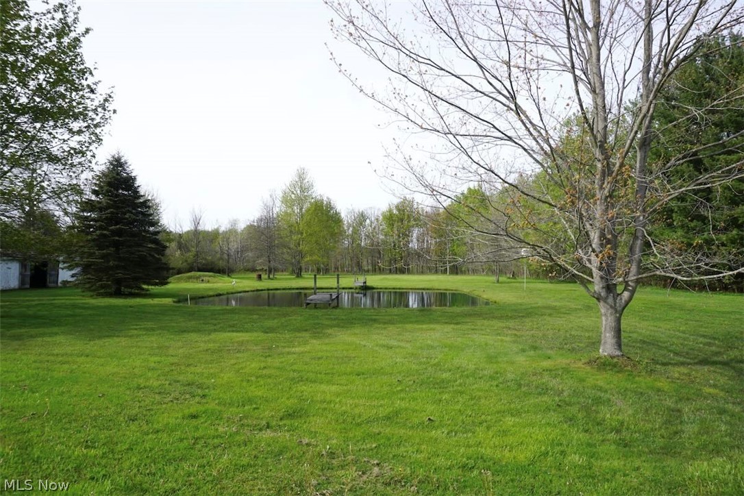 5875 Trumbull Road Geneva, OH 44041 - Photo 19 of 33 Rear yard with pond