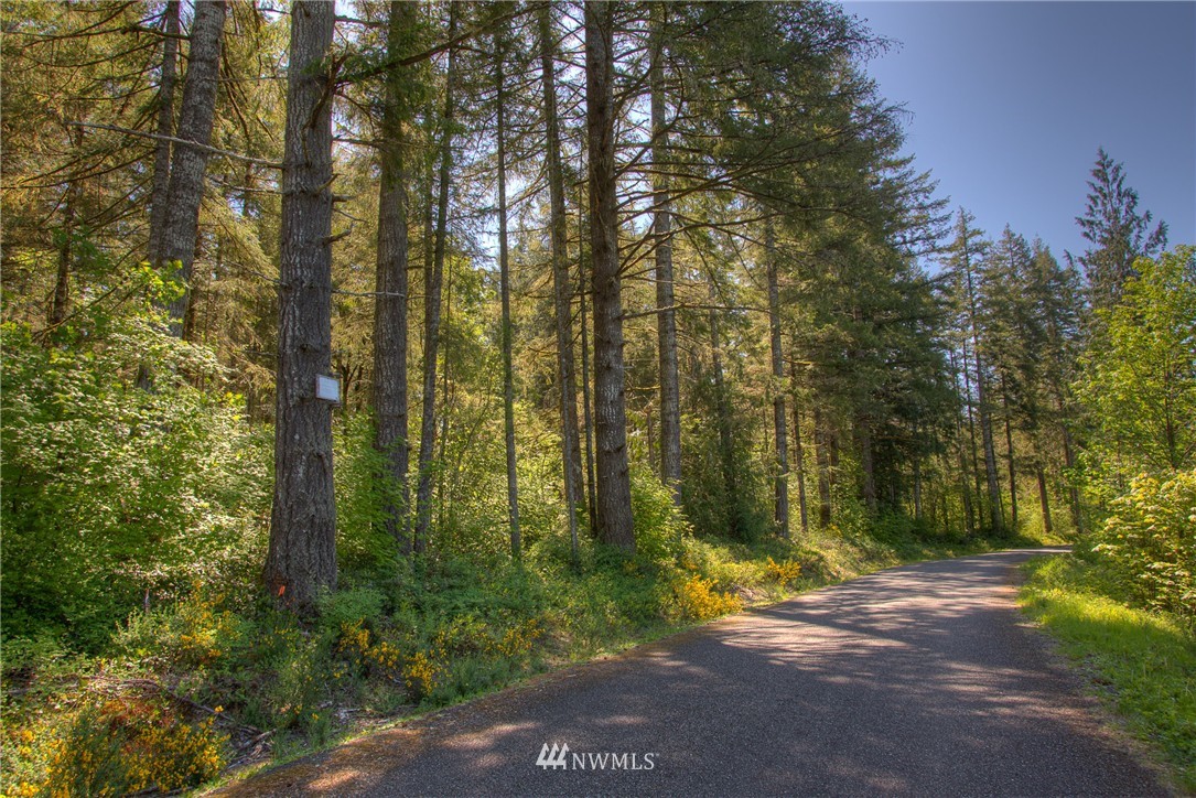 3 West Benthein Road Elma, WA 98541 - Photo 1 of 10 Gallery Image 1